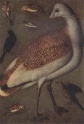 Ludger tom Ring Great Bustard Cock oil painting picture wholesale